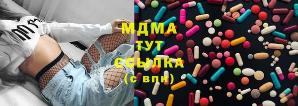 молекула духа Вяземский